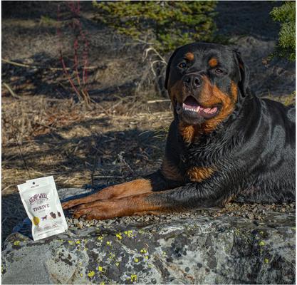 Hemp Thrive Soft Chew Dog Supplement, 8 count