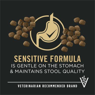 Sensitive Skin & Stomach 7+ Salmon & Rice Formula Dry Dog Food, 24-lb bag