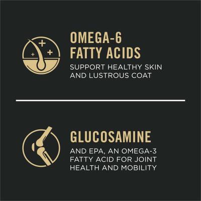 Sensitive Skin & Stomach 7+ Salmon & Rice Formula Dry Dog Food, 24-lb bag