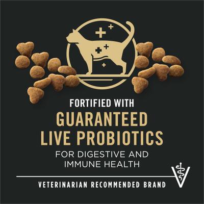 Adult Hairball Chicken & Rice Formula Dry Cat Food, 16-lb bag