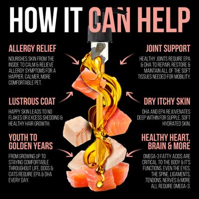 Wild Salmon & Pollock Oil Liquid Omega-3s Dog & Cat Supplement, 32-fl oz bottle