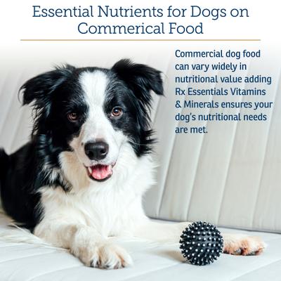 Rx Essentials Powder Multivitamin for Dogs, 8-oz bottle