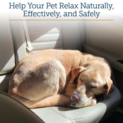 NutriCalm Liquid Calming Supplement for Cats & Dogs, 4-fl oz bottle