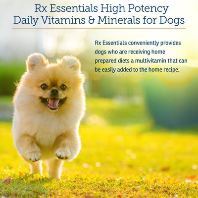 Rx Essentials Powder Multivitamin for Dogs, 8-oz bottle