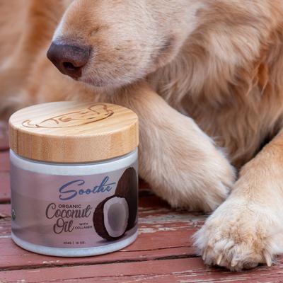 Coconut Oil with Collagen Dog Supplement, 16-fl oz bottle