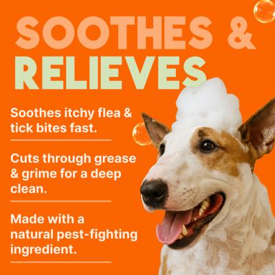 Fast Itch Relief from Flea Bites Neem & Citrus Dog Shampoo, 20-fl oz bottle