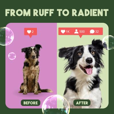 Pure Plum Highly Concentrated Dog & Cat Shampoo, 1-gal bottle