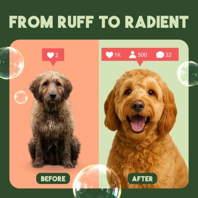 Luxury 2-in-1 Papaya & Coconut Dog Shampoo & Conditioner, 20-fl oz bottle