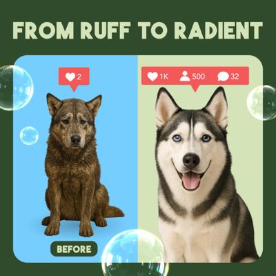 Lime & Coconut Deshedding Dog Shampoo, 20-fl oz bottle