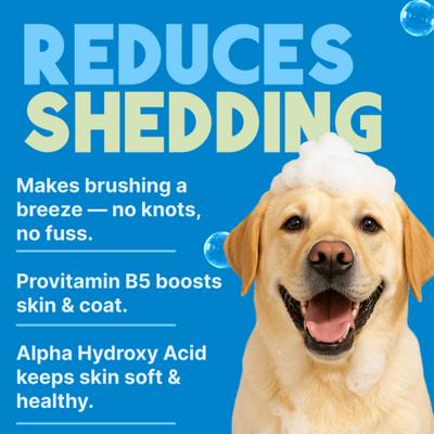 Lime & Coconut Deshedding Dog Shampoo, 20-fl oz bottle