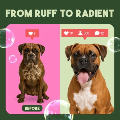 Berry & Coconut Deep Cleansing Cat Shampoo, 12-fl oz bottle