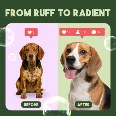 Kiwi & Cocoa Butter Detangling & Moisturizing Dog Conditioner, 1-gal