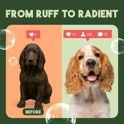 Fast Itch Relief from Flea Bites Neem & Citrus Dog Shampoo, 20-fl oz bottle