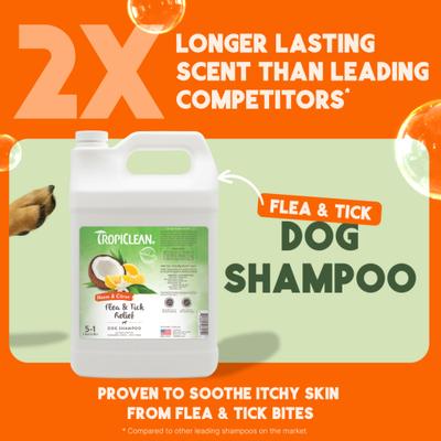 Fast Itch Relief from Flea Bites Neem & Citrus Dog Shampoo, 1-gal