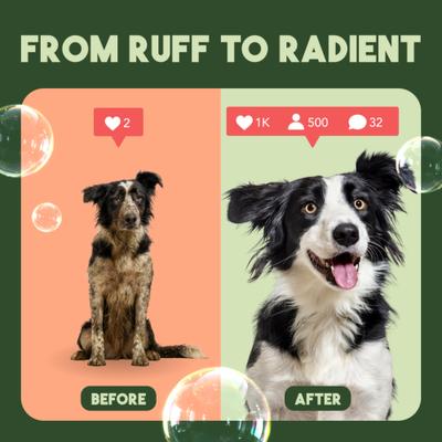 Sweet Mandarin Highly Concentrated Dog & Cat Shampoo, 1-gal bottle