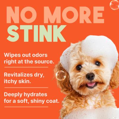 Sweet Mandarin Highly Concentrated Dog & Cat Shampoo, 1-gal bottle