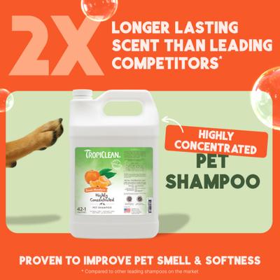 Sweet Mandarin Highly Concentrated Dog & Cat Shampoo, 1-gal bottle