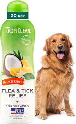 Fast Itch Relief from Flea Bites Neem & Citrus Dog Shampoo, 20-fl oz bottle