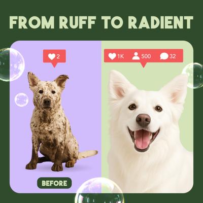 Whitening Awapuhi & Coconut Shampoo, 20-fl oz bottle