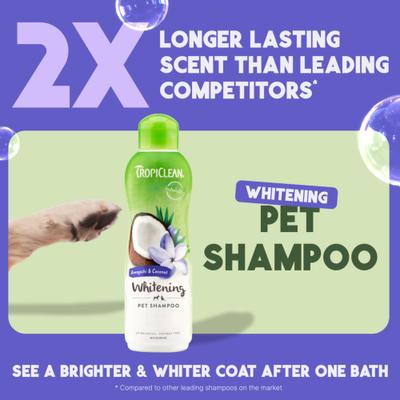 Whitening Awapuhi & Coconut Shampoo, 20-fl oz bottle