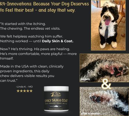 Daily Salmon Flavored Skin & Coat Chew Supplement for Dogs, 120 count