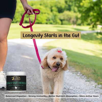 Daily Chicken Flavored Gut Health Chew Supplement for Dogs, 120 count