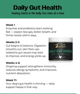 Daily Chicken Flavored Gut Health Chew Supplement for Dogs, 120 count