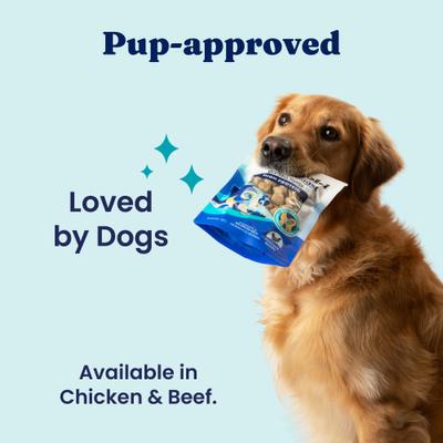 Chicken Flavor Gut Health High-Protein Dry & Wet Dog Food Topper, 10.5-oz pouch