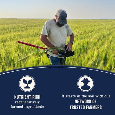 Pure Farm To Bowl Small Breed Wild-Caught Salmon & Lentil Recipe Dry Dog Food, 4-lb bag