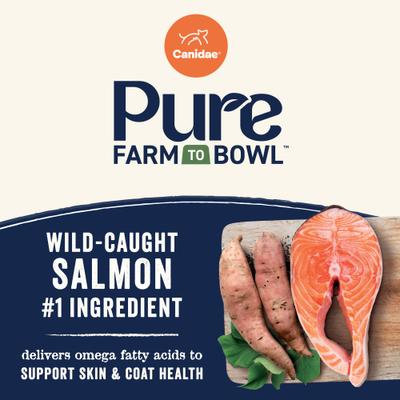 Pure Grain-Free Puppy Real Salmon & Sweet Potato Dry Dog Food, 4-lb bag