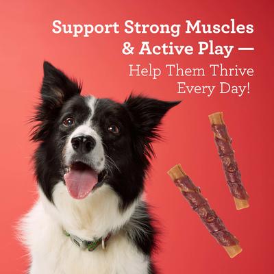 High Protein Rolls Water Buffalo, Chicken & Peanut Butter Flavor Dog Treat Chew, 4 count