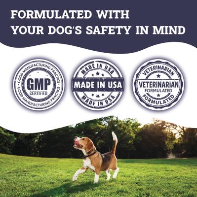 Joint & Hip Daily Powder Supplement for Dogs, 3.8-oz jar