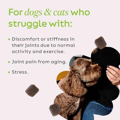 Hemp + Joint Mobility Broad Spectrum Hemp Extract Soft Chews Supplement for Dogs & Cats, 60 count