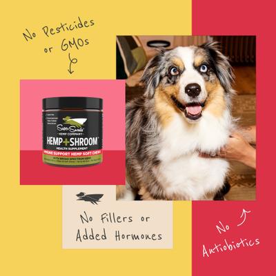 Hemp + Shroom Immunity Soft Chews Broad Spectrum Hemp Extract Supplement for Dogs & Cats, 30 count