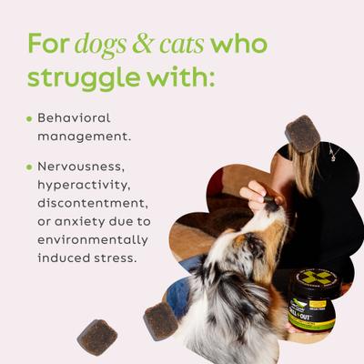 Chill + Out Calming Broad Spectrum Hemp Extract Soft Chews Supplement for Dogs & Cats, 60 count