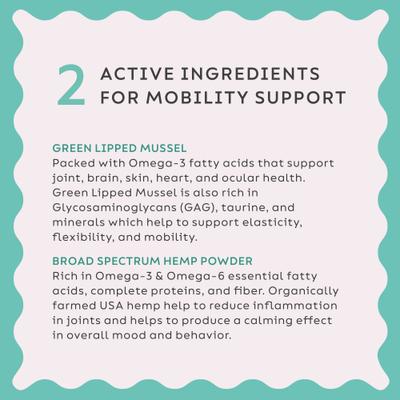 Hemp + Joint Mobility Broad Spectrum Hemp Extract Powder Supplement for Dogs & Cats, 2.64-oz jar