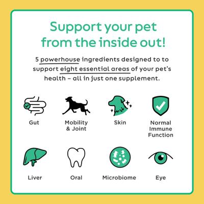 Daily Thrive Immune Broad Spectrum Hemp Extract Supplement for Dogs & Cats, 5.29-oz jar