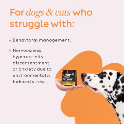 Chill + Out Calming Broad Spectrum Hemp Extract Powder Supplement for Dogs & Cats, 2.64-oz jar