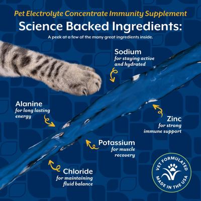 NaturVet, Pet Electrolyte Concentrate, concentrado de electrolitos para hidratación de perros y gatos, 473 ml