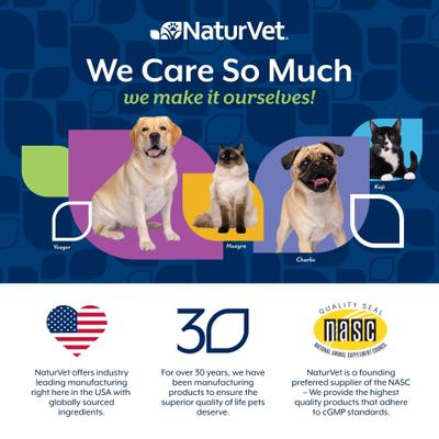 NaturVet, Pet Electrolyte Concentrate, concentrado de electrolitos para hidratación de perros y gatos, 473 ml