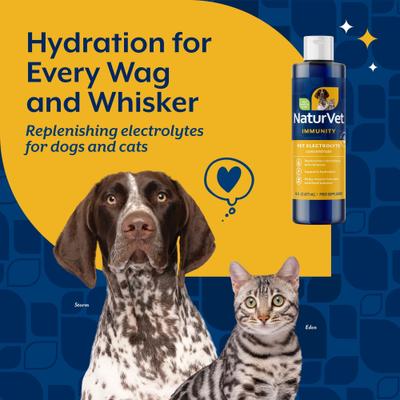 NaturVet, Pet Electrolyte Concentrate, concentrado de electrolitos para hidratación de perros y gatos, 473 ml