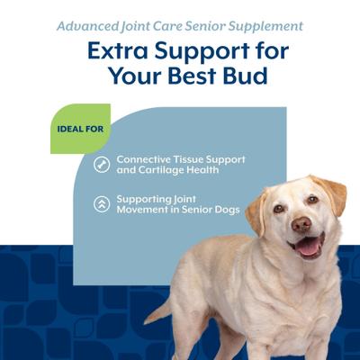 NaturVet, Advanced Joint Care Senior, masticables con glucosamina, MSM, colágeno, condroitina y mejillón verde para perros mayores, sabor tocino y pollo, 60 / 120 unidades