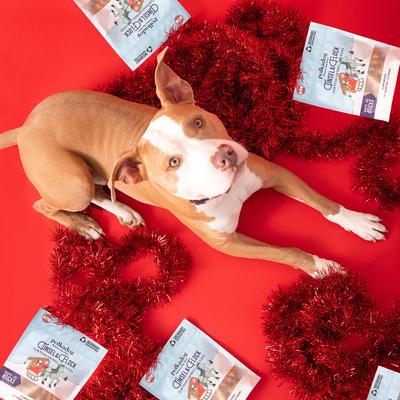 Tinsel & Flock Clam Dehydrated Dog Treats, 5-oz bag