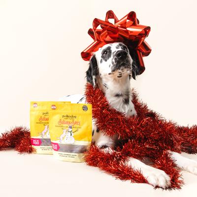 Sugar & Spice Chicken & Cranberry Dehydrated Dog Treats, 5-oz bag