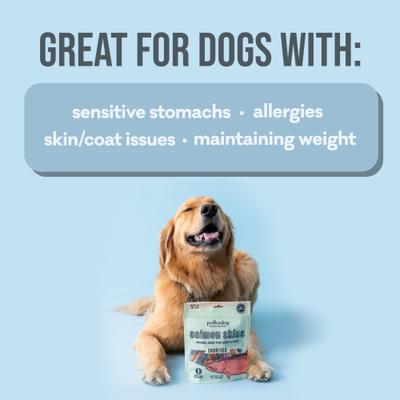 Salmon Skins Dehydrated Dog & Cat Treats, 3-oz bag