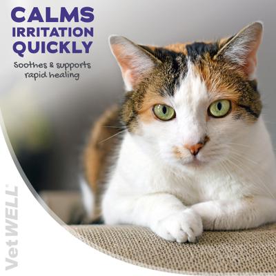 Hydrocortisone with Pramoxine Dog & Cat Skin Care Spray, 4-fl oz bottle