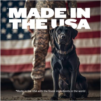 2-in-1 Weight Gain Liquid Supplement for Dogs, 16-fl oz bottle