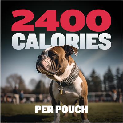 2-in-1 Weight Gain Liquid Supplement for Dogs, 16-fl oz bottle