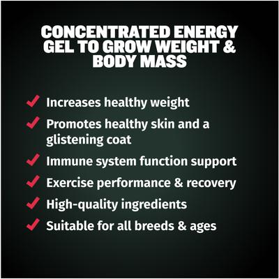 2-in-1 Weight Gain Liquid Supplement for Dogs, 16-fl oz bottle