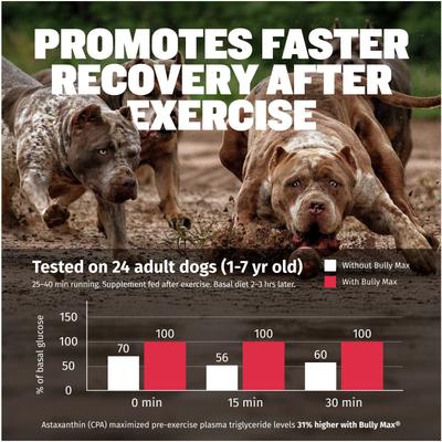 3-in-1 Muscle Gain Liquid Supplement for Dogs, 16-fl oz bottle